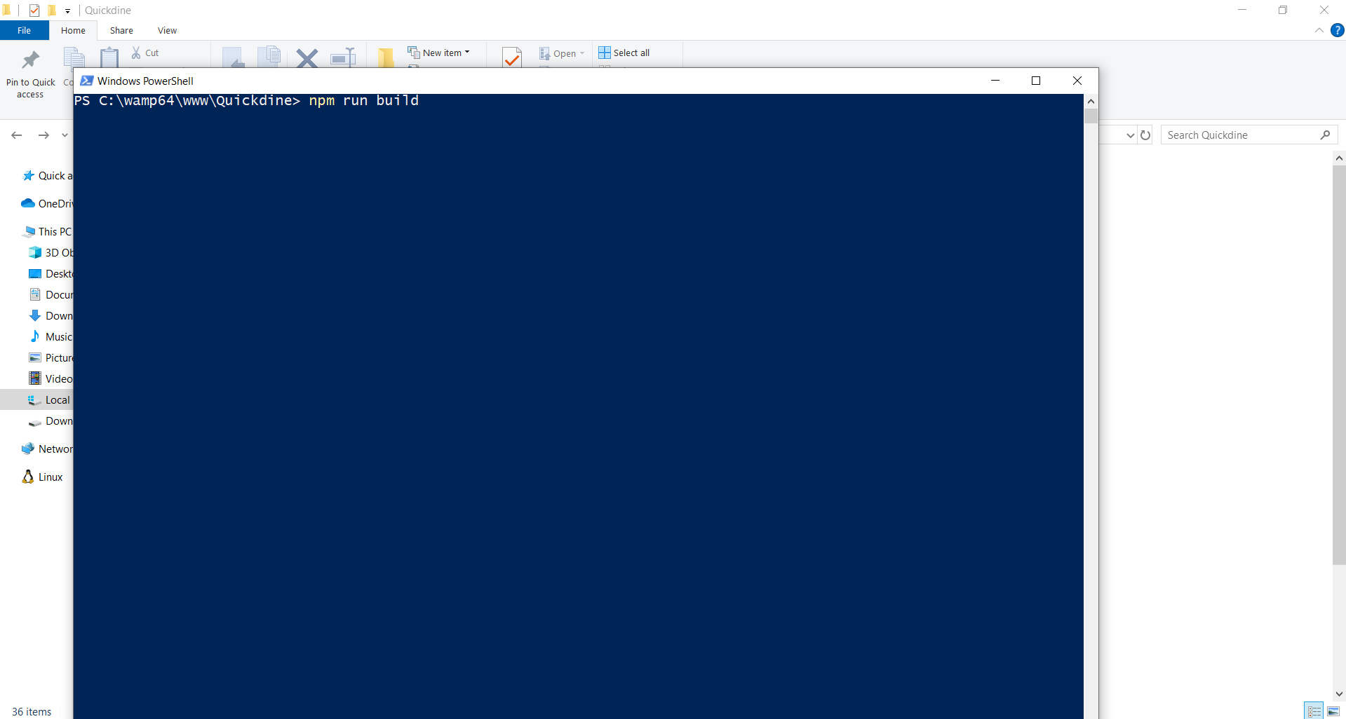 Run NPM Build