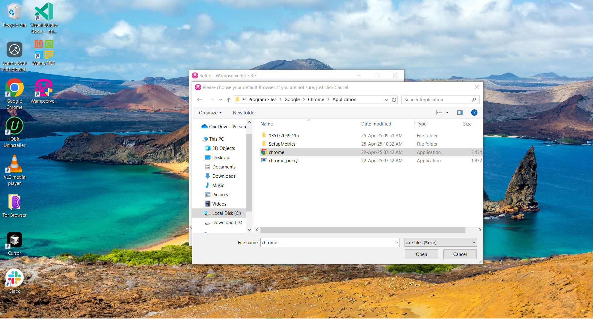 Selecting Browser Executable